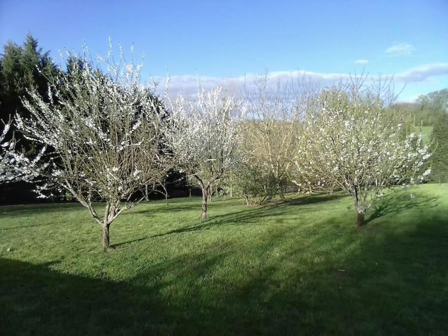 Dependance Pour 1 A 4 Pers Au Calme Dans Propriete Villa Marboz Dış mekan fotoğraf